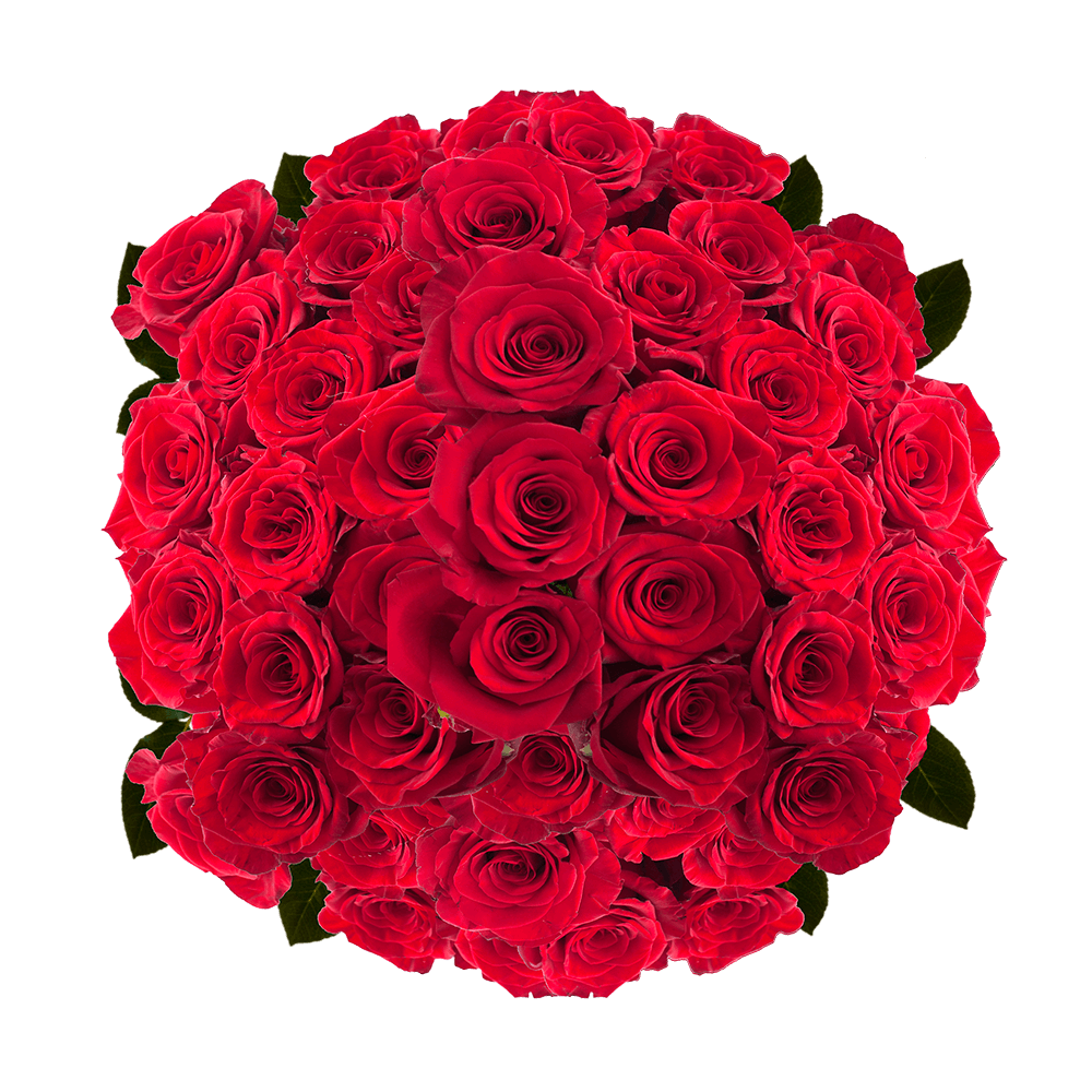 Red Bulk Roses Online