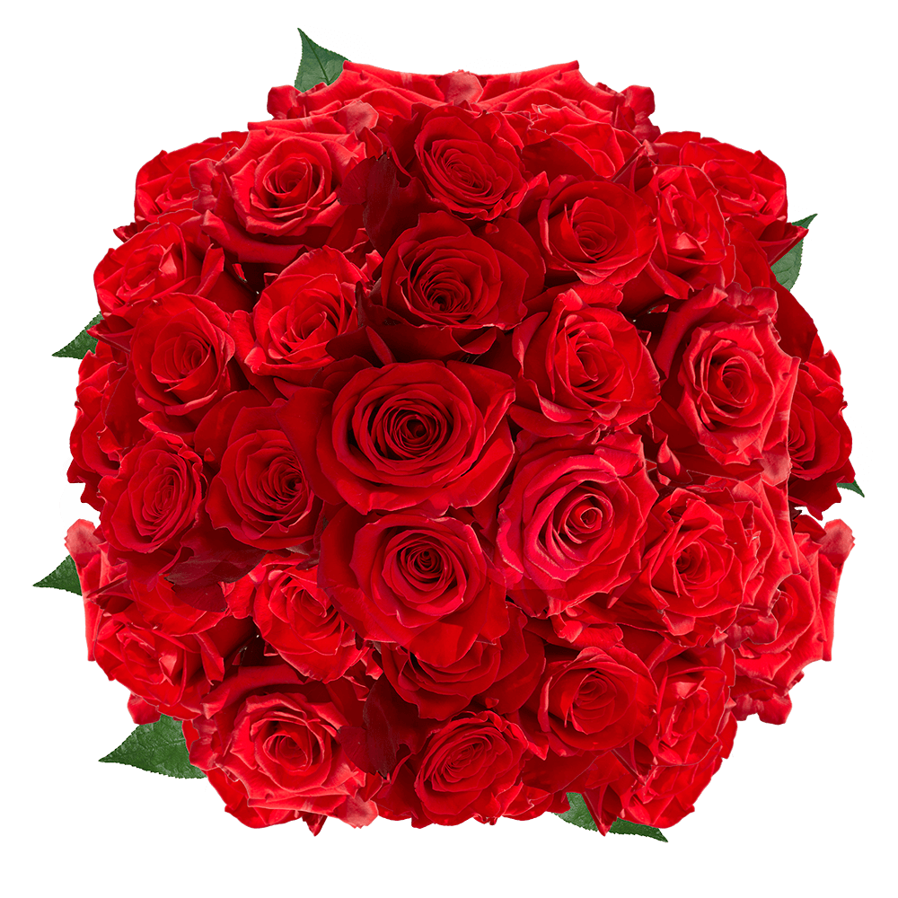 Red Roses Valentine's Day Rose Specials
