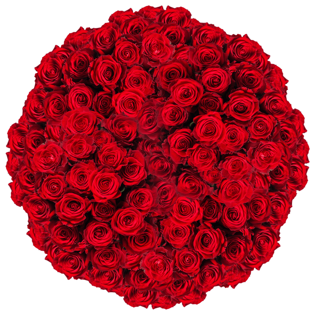 Red Roses Valentine's Day Sale