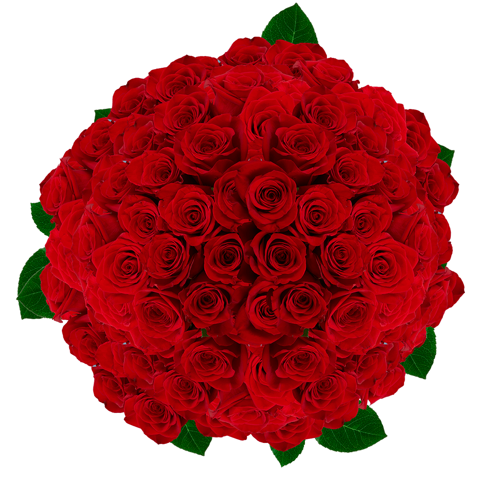 Red Roses Valentine's Day Special