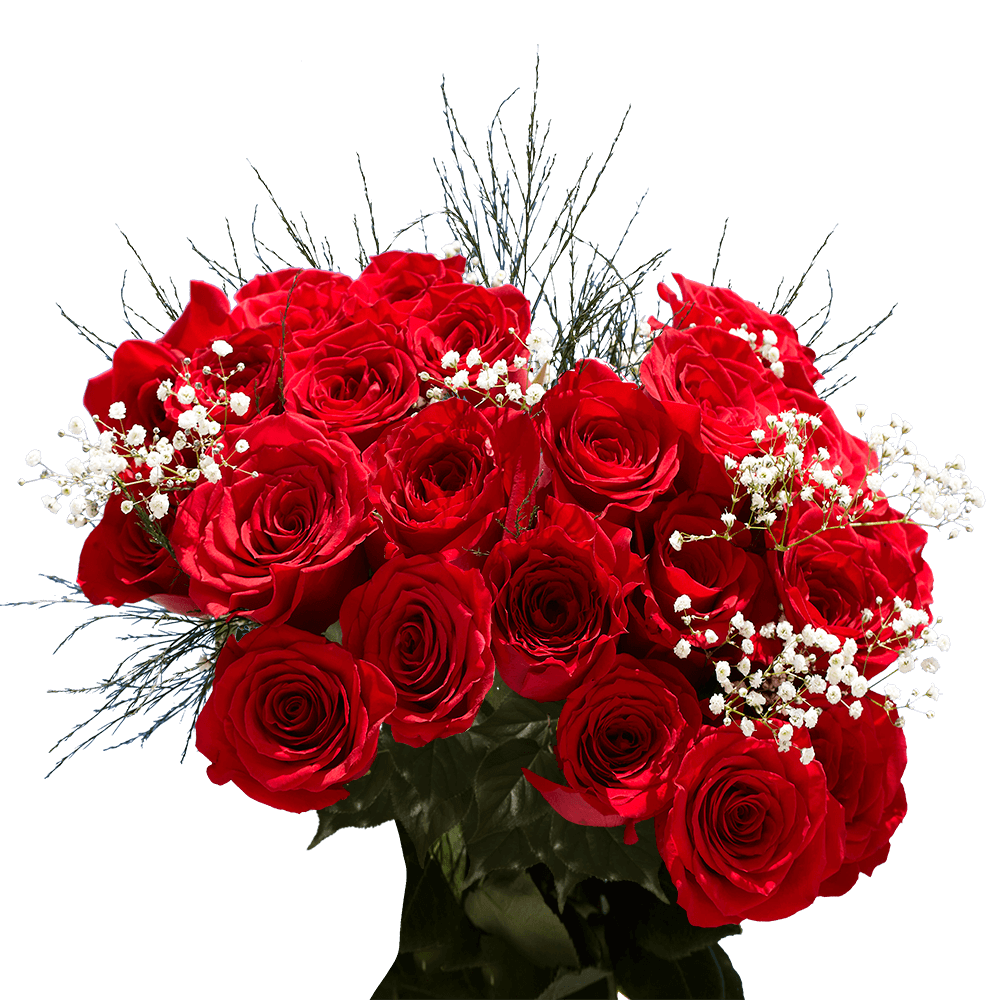 Red Roses with Baby's Breath Next Day Delivery