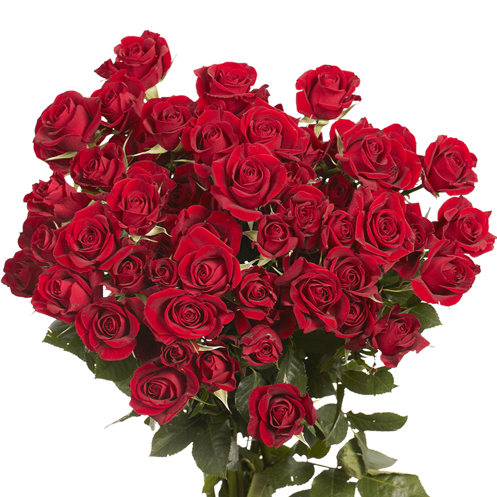 Red Spray Roses - Wedding Bouquets for Couples