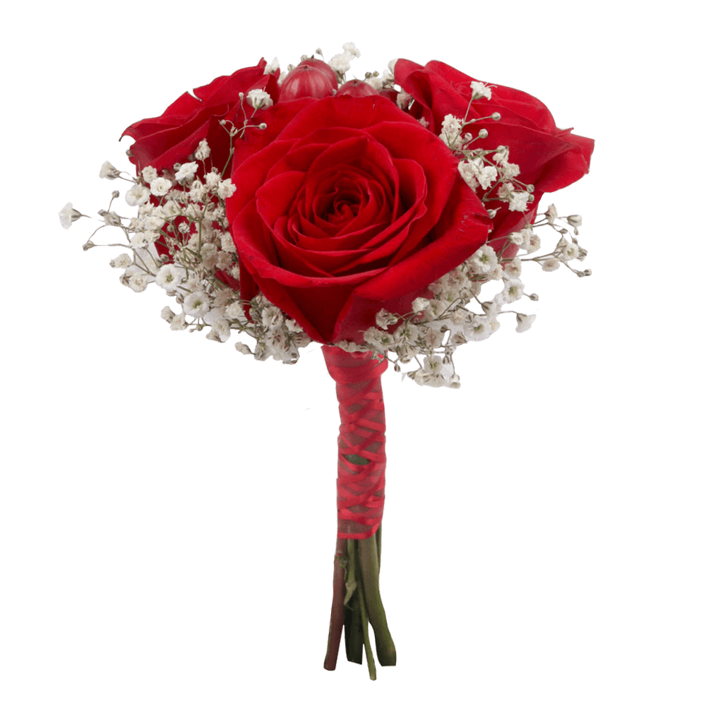 (OC) Small European Red Rose Bb Hypericum 1 Arrangement For Delivery to Philadelphia, Pennsylvania