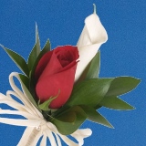 2-cr-rose-call-and-rose-red