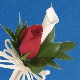 2-cr-rose-call-and-rose-red