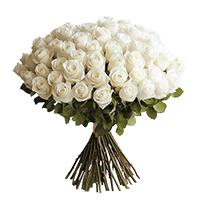 (OC) Rose Sht White 2 Bunches For Delivery to Texas
