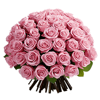 (OC) Rose Sht Pink 2 Bunches For Delivery to Plant_City, Florida