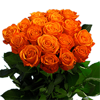 (OC) Roses Sht Orange 2 Bunches For Delivery to Norman, Oklahoma