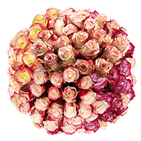 (QB) Rose Sht Bi-Color 4 Bunches For Delivery to Braintree, Massachusetts