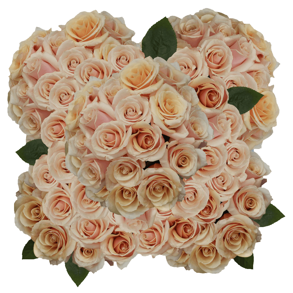Roses Light Pink Free Online Delivery