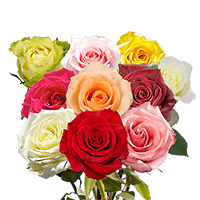 (OC) 50 Roses Sht Qty For Delivery to Newburyport, Massachusetts