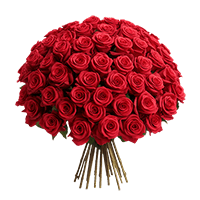 Rose Sht Red (OC) [Include Flower Food] (OM) For Delivery to Cabot, Arkansas