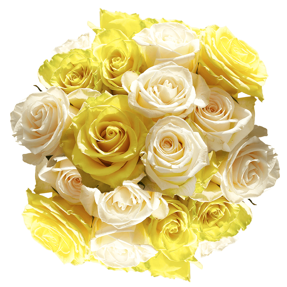 Roses Special Yellow White Flowers Delivered for Free