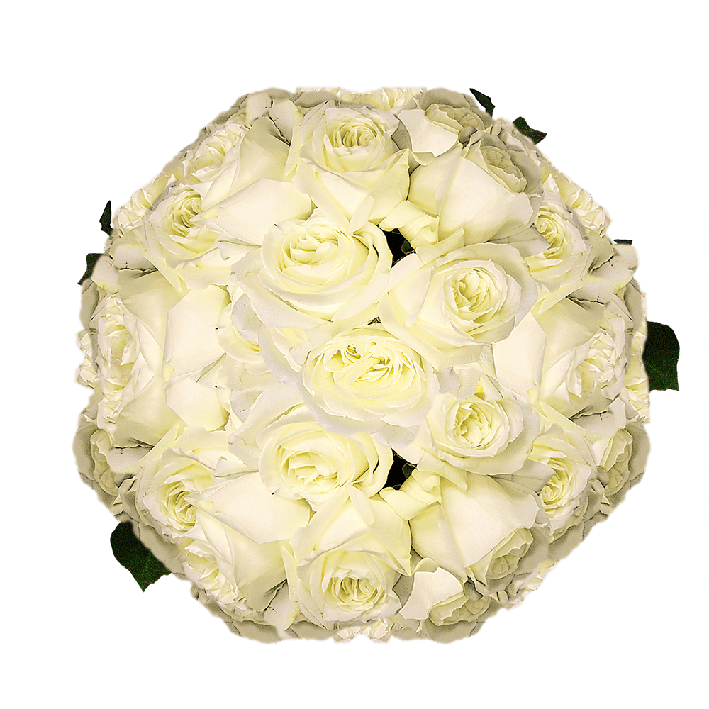 Roses to Order Online Fresh Cut Roses White 100 Roses Delivery