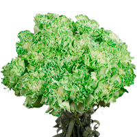 (QB) Carn Std Green 8 Bunches For Delivery to Claremore, Oklahoma