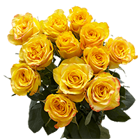 (OC) Roses Sht Dozen yellow X 1 Bunch For Delivery to Butte, Montana