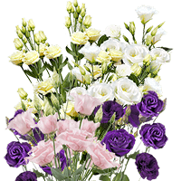 (QB) Lisianthus Assorted 8 Bunches For Delivery to Riverhead, New_York