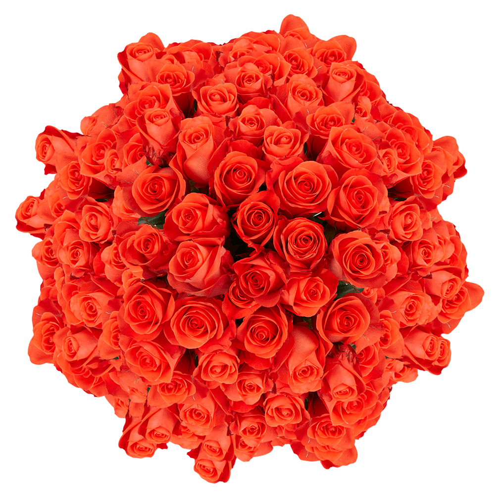 Send Beautiful Salmon Orange Roses