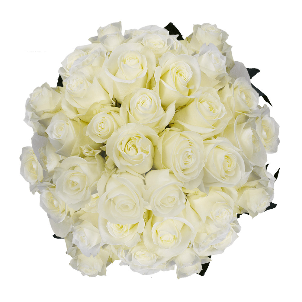 Send Big White Roses