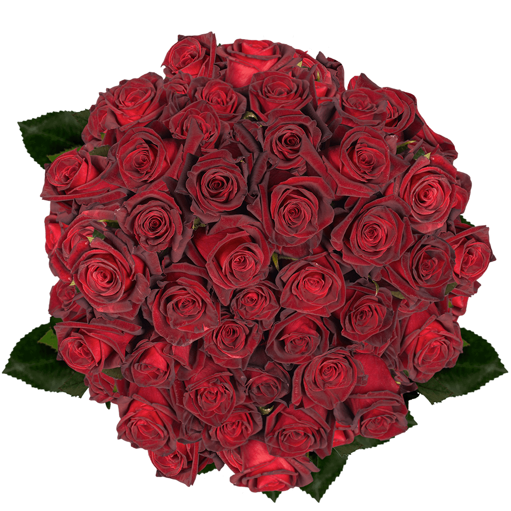(QB) Rose Med Black Baccara For Delivery to Texarkana, Texas