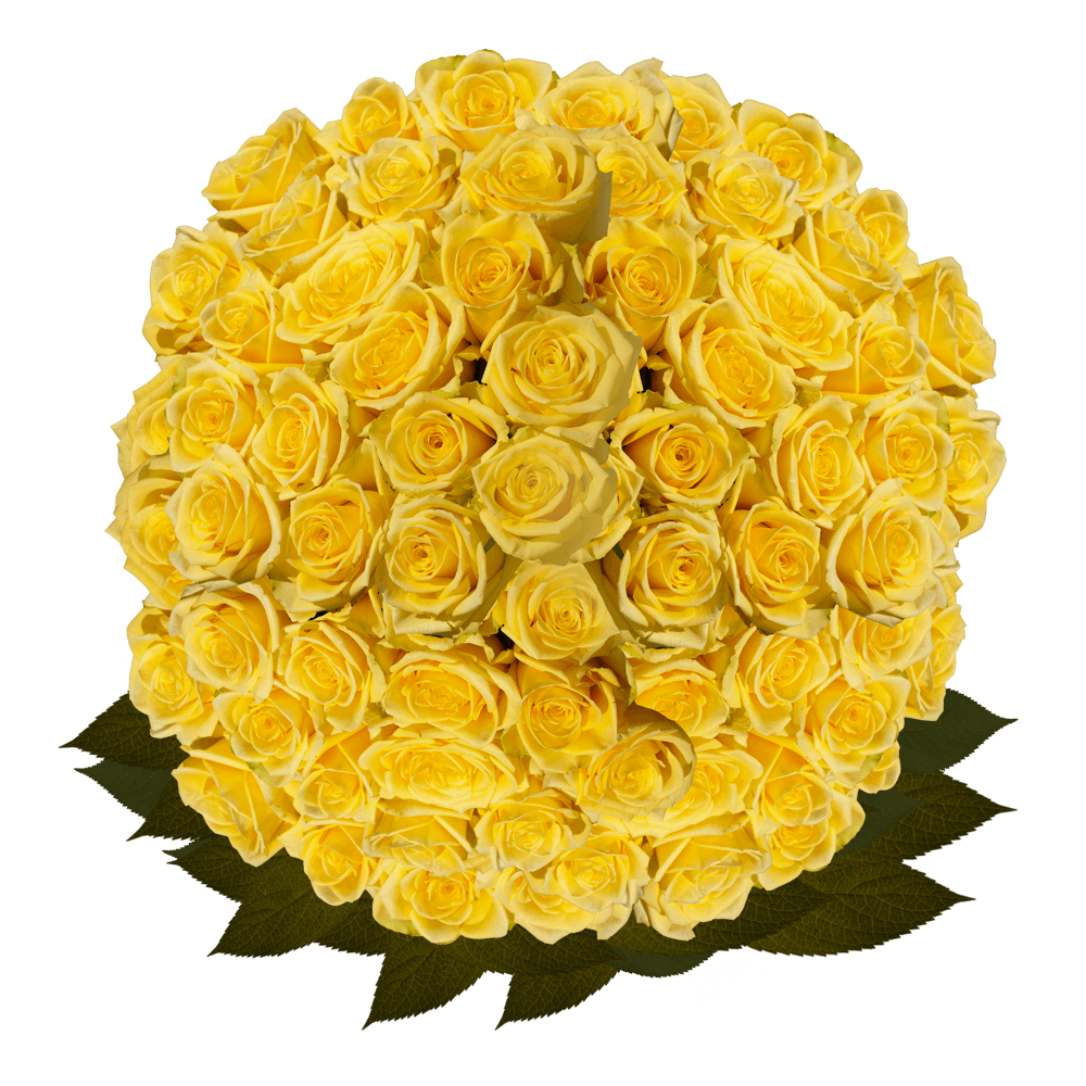 Send Bulk Yellow Roses