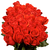 (QB) Rose Long Kamila Roses For Delivery to Mountain_Home, Arkansas