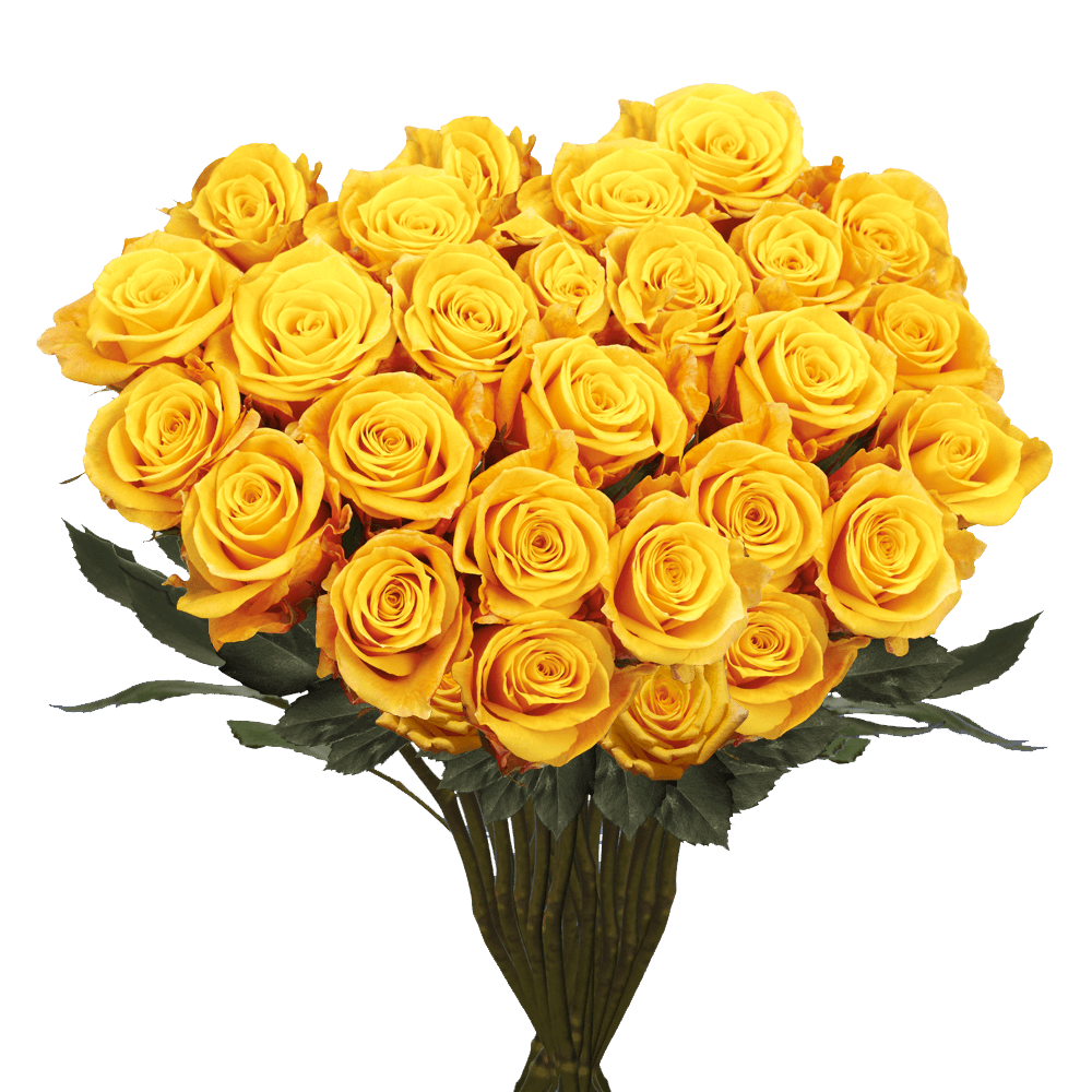 Send Dark Yellow Roses