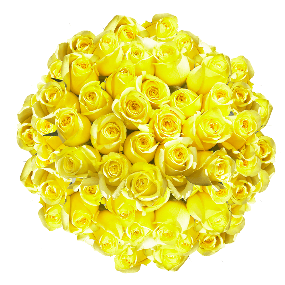 Send Lemon Yellow Roses Online
