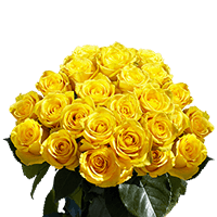 (QB) Rose Long Yellow Bikini [Inlude Flower Food] For Delivery to Burlington, Iowa