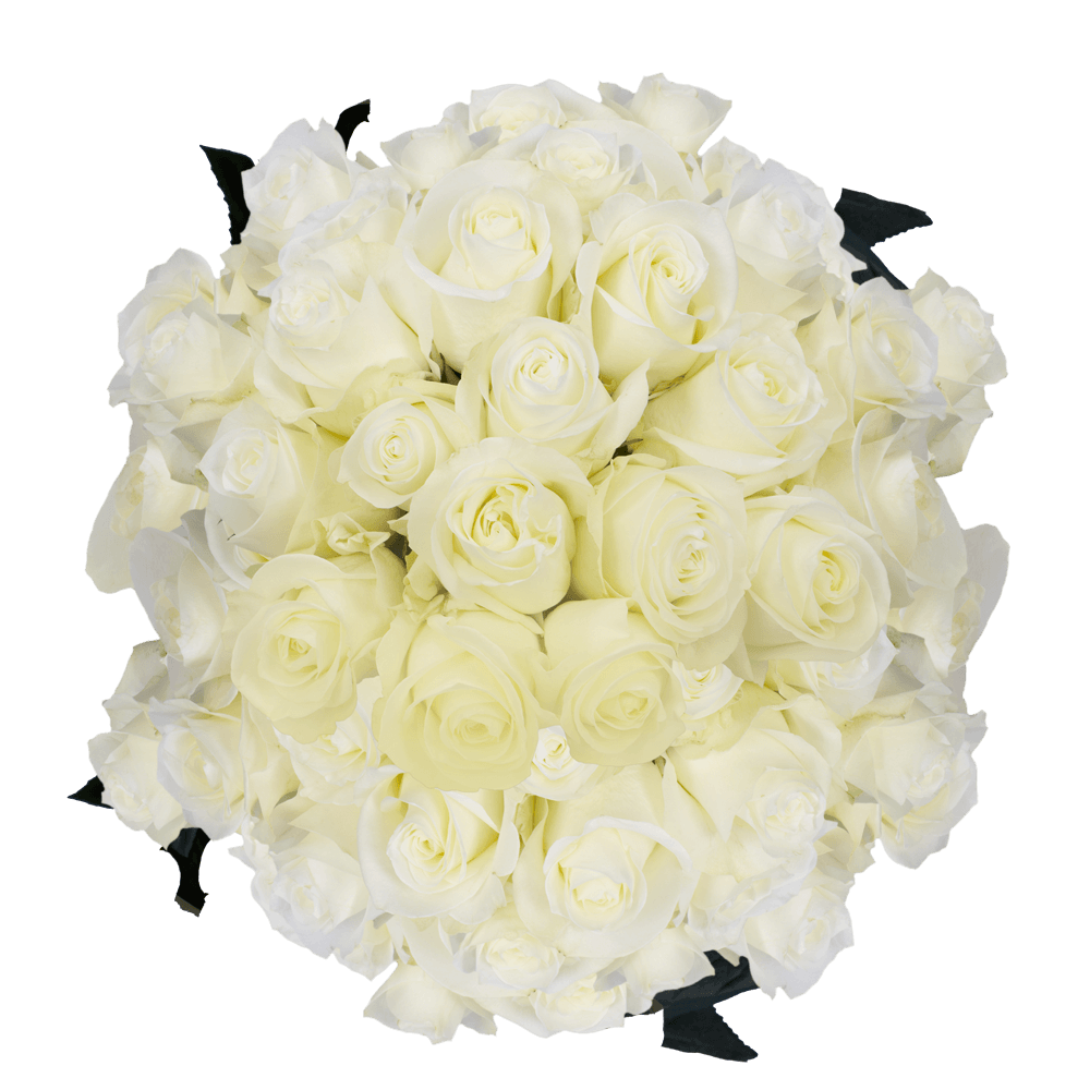 Send Wholesale White Roses