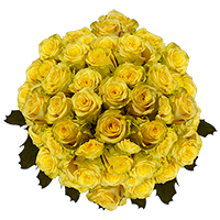 150 XX Long  Stems of Light Yellow, Yokohama Roses
