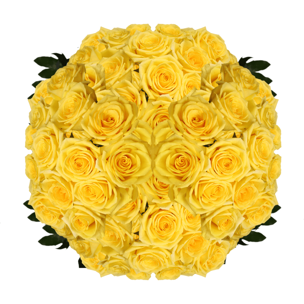 Send Yellow Roses