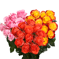 (QB) Dozen Long Roses DC: