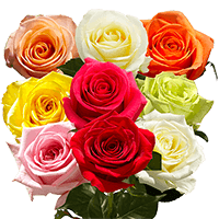 (HB) Dozen Long Roses DC: (Gypso and Green)