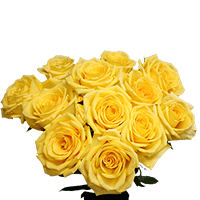 (OC) Roses Sht Gold Strike 2 Bunches For Delivery to Lumberton, North_Carolina