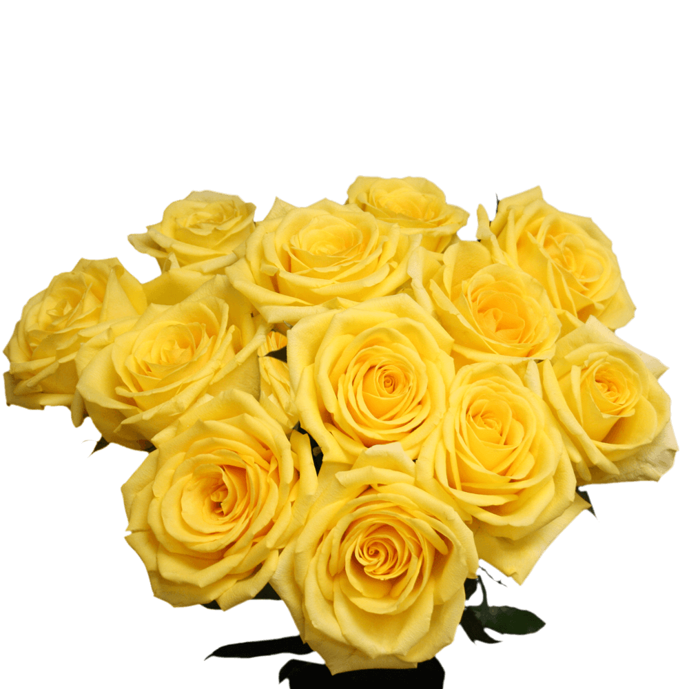 Sending Roses Yellow