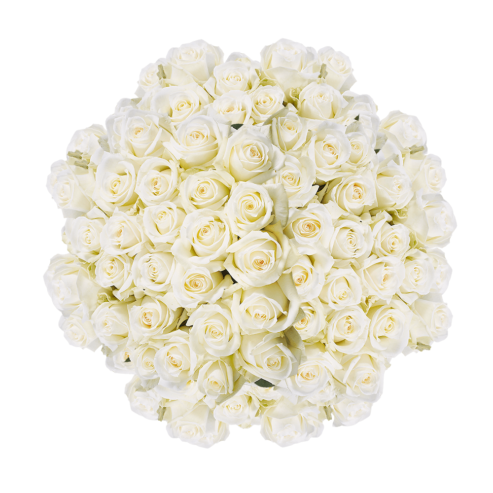 Ship Beautiful Off White Roses with a Creamy Yellow Center