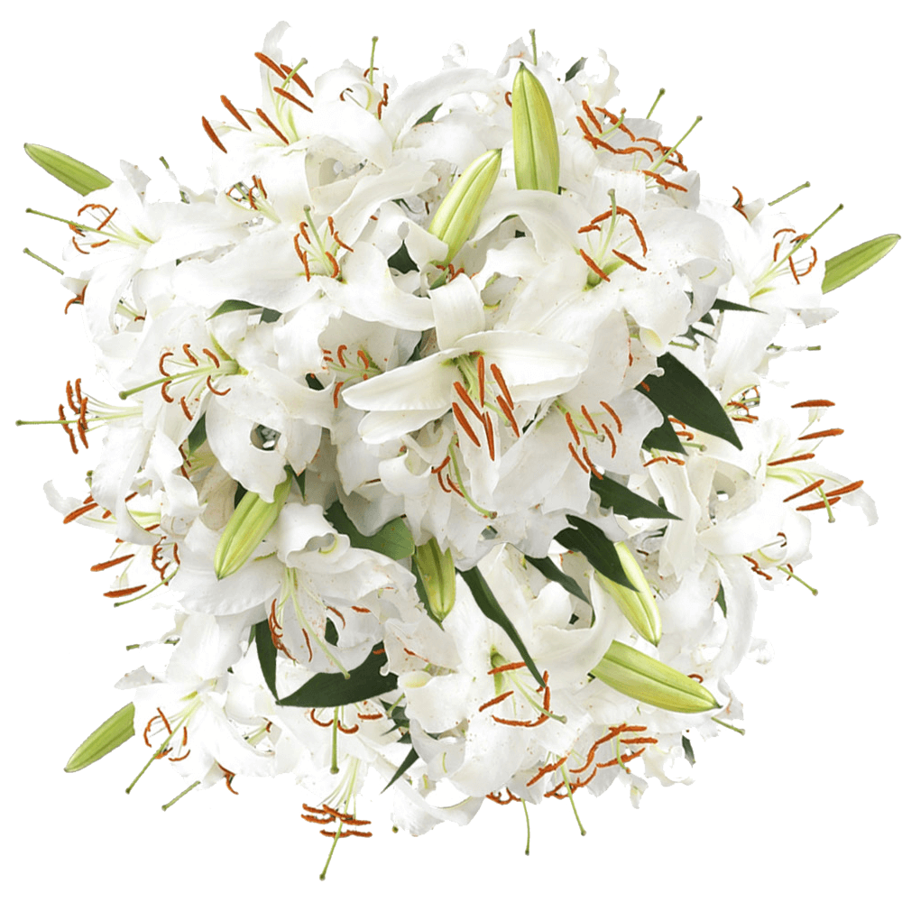 Ship White Oriental Lilies