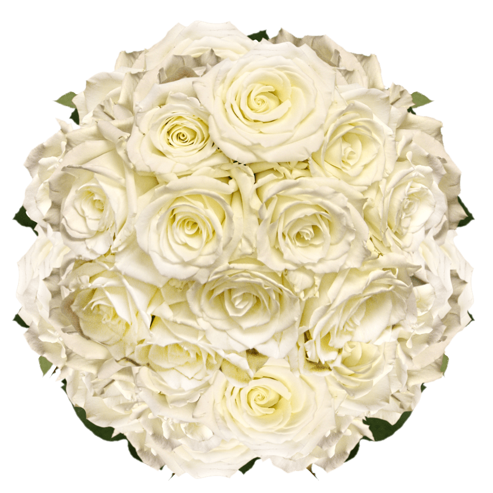 Ship White Roses
