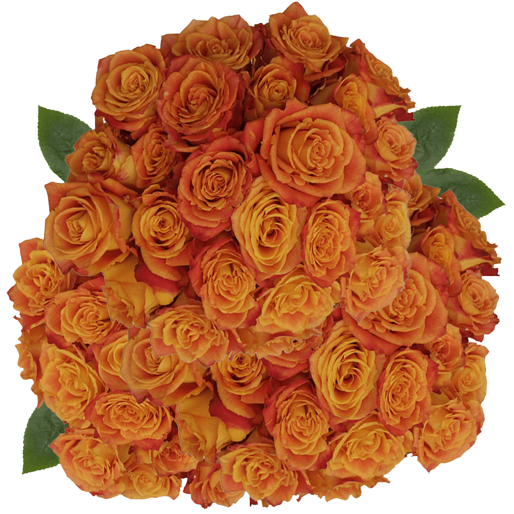 Silantoy Roses Yellow and Red Fresh Cut Flower Delivery