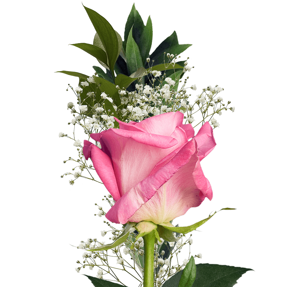 Rose bouquet single