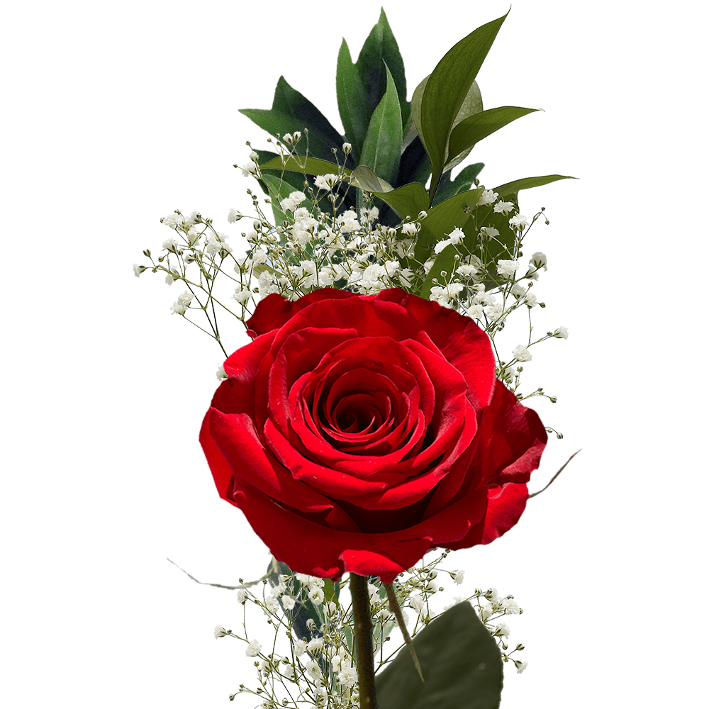 Single Red Rose with Greenery Arrangements