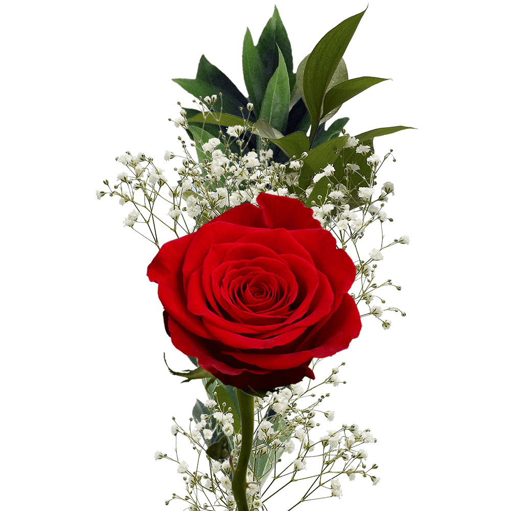 Single Red Rose Greenery Mother's Day Arrangements | GlobalRose