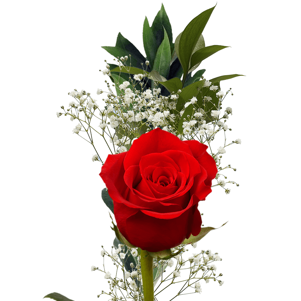Single Red Rose with Greenery Valentine's Day Arrangements