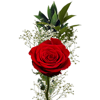 Qty of Single Red Roses and Fillers For Delivery to Ballston_Spa, New_York