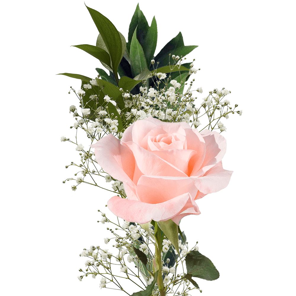 Single Rose - FBQ1046 – BTflorist