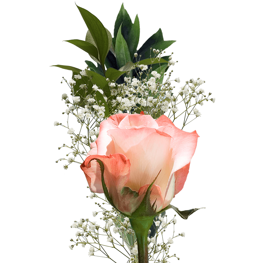 Single rose bouquet