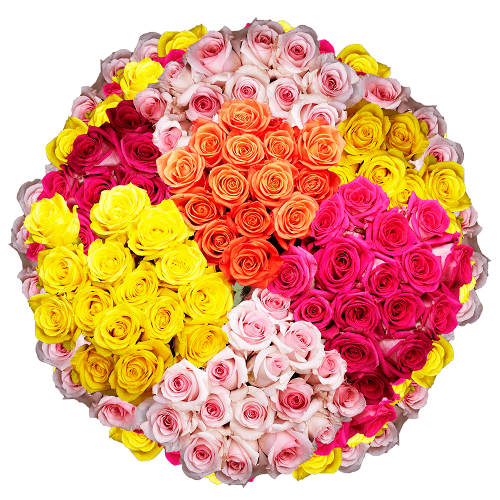 Solid Assorted Roses Online Delivery