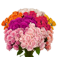 (HB) Spray Rose Sht Dozens Assorted (Gypso and Green) 16 Bunches For Delivery to New_Hampshire