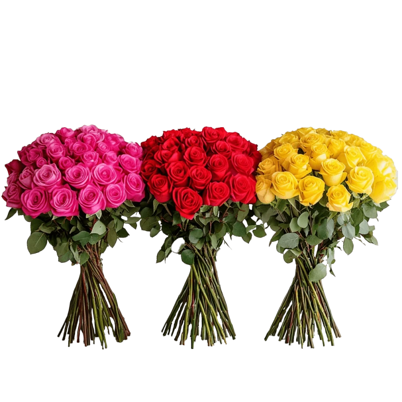 Subscription VIP Rose Club
